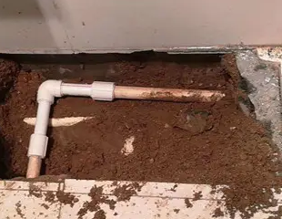 资源测漏水哪家好