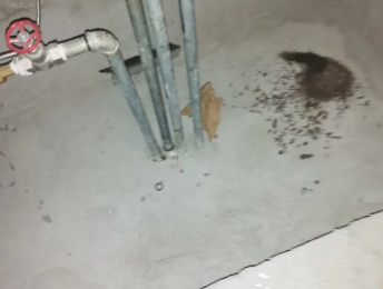 资源卫生间测漏水价格明细